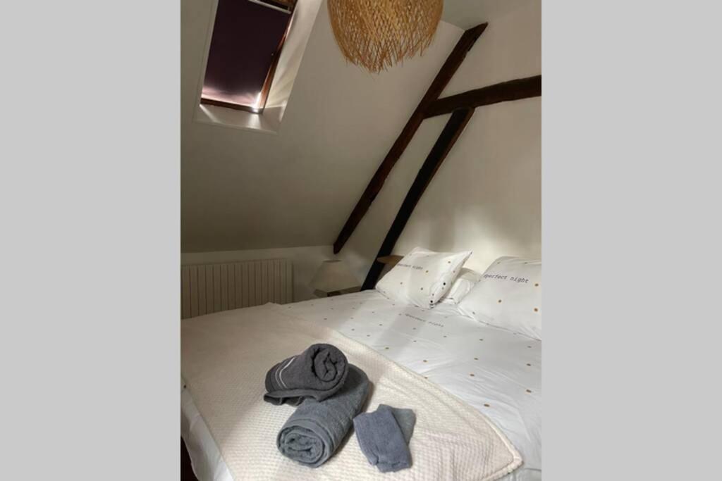 Appartement  La vie est belle  au cœur de Sézanne Esterno foto